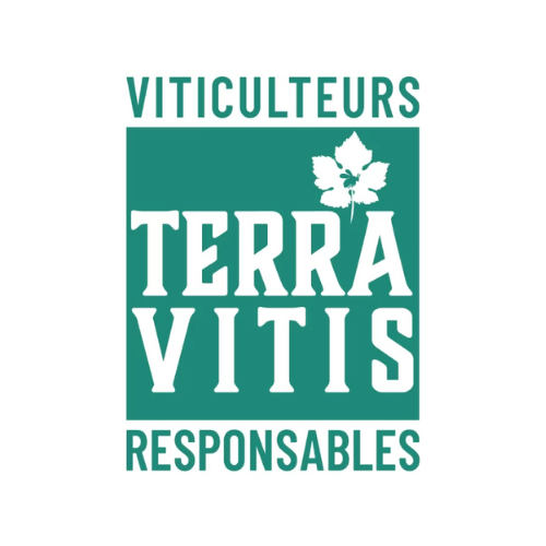 Terra Vitis